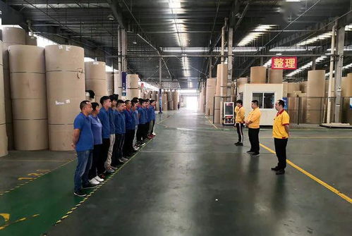 花園建材榮膺東陽市中小企業市長科技創新獎，引領行業綠色轉型新篇章